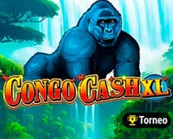 Congo Cash XL